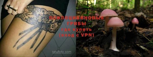 apvp Верея