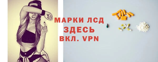 apvp Верея