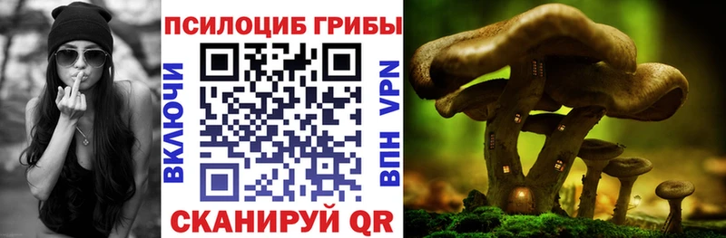blacksprut рабочий сайт  Гай  Псилоцибиновые грибы Cubensis 